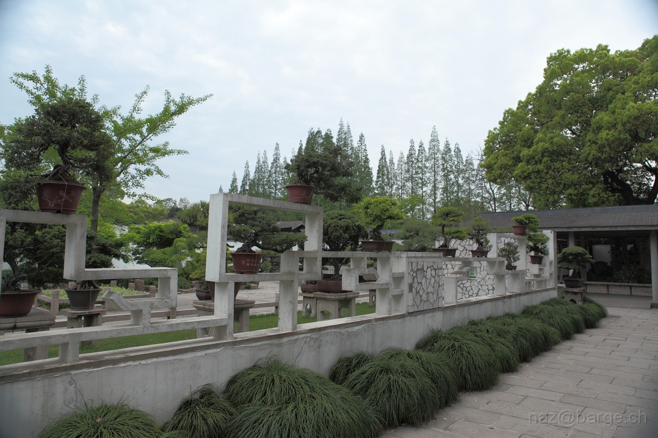 EOS 5D Mark II16_04_20135044.JPG